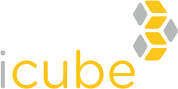 ICUBE : Brand Short Description Type Here.
